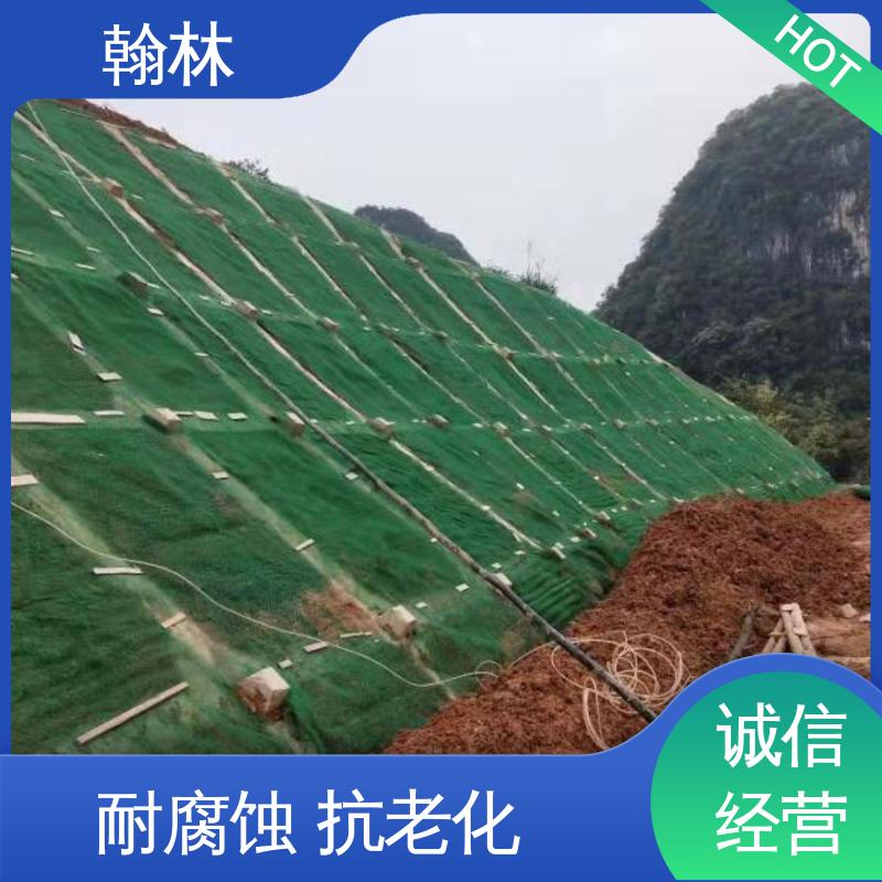 翰林河道治理護(hù)坡植被網(wǎng)應(yīng)用范圍廣嚴(yán)選材料