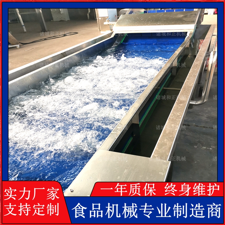 全自動氣泡翻浪清洗機(jī)HZ水果玉米噴淋清洗流水線制造商洗菜機(jī)