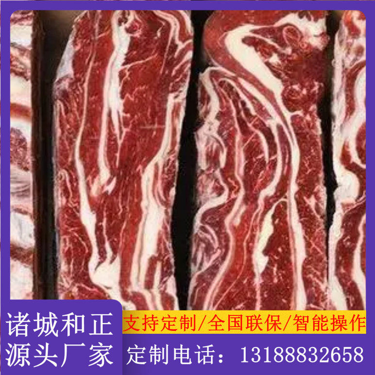 凍盤肉大型商用解凍庫牛肉凍轉(zhuǎn)鮮緩化設(shè)備白條雞低溫高濕解凍機(jī)