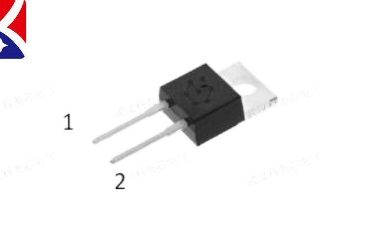 派恩杰碳化硅二極管分立半導體P4D06010T2（650V\/26nC）