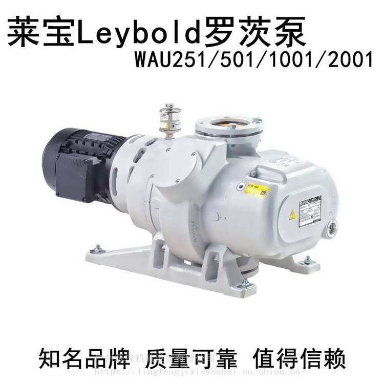 德國萊寶WAU2001羅茨泵Leybold真空泵WSU高真空機組電動鐵鑄風冷水冷