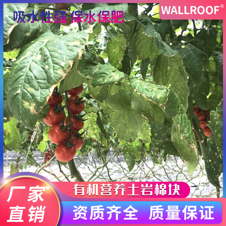 WALLROOF瓦樂夫農(nóng)業(yè)種植巖棉農(nóng)用巖棉塊育苗塊