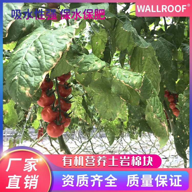 WALLROOF瓦樂夫有機(jī)營養(yǎng)土巖棉塊無土栽培育苗