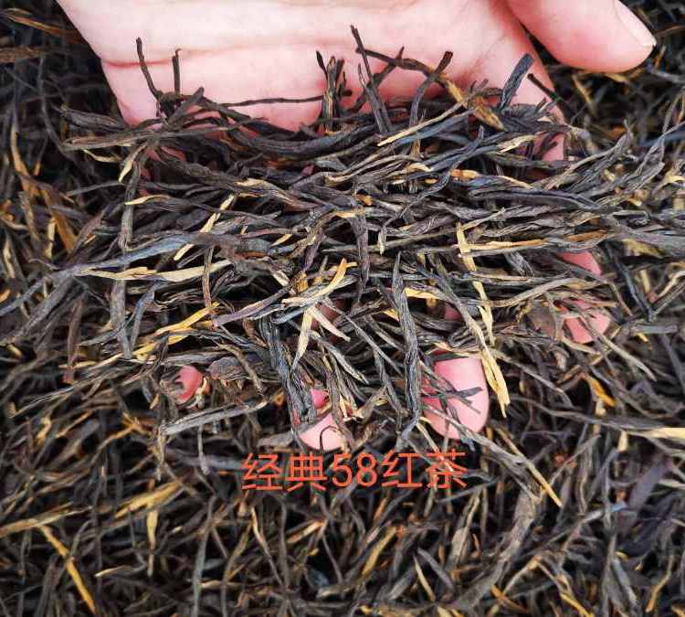 川紅工夫新茶茶葉批發(fā)