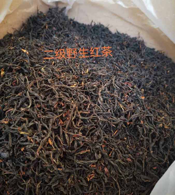 白毫銀針茶葉生長(zhǎng)環(huán)境