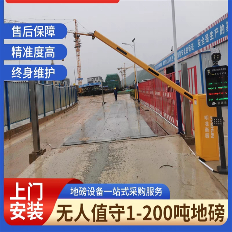 支持定制1~10噸10~30噸地磅18米汽車衡多種型號(hào)可選