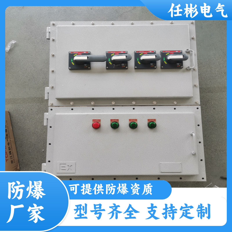 粉塵防爆配電箱IIBⅡC隔爆型檢修儀表礦用接線箱