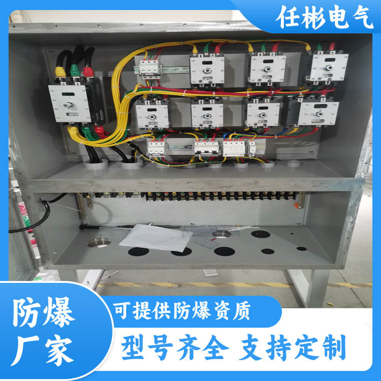 電源防爆箱廠家照明動力控制箱防爆成套電氣