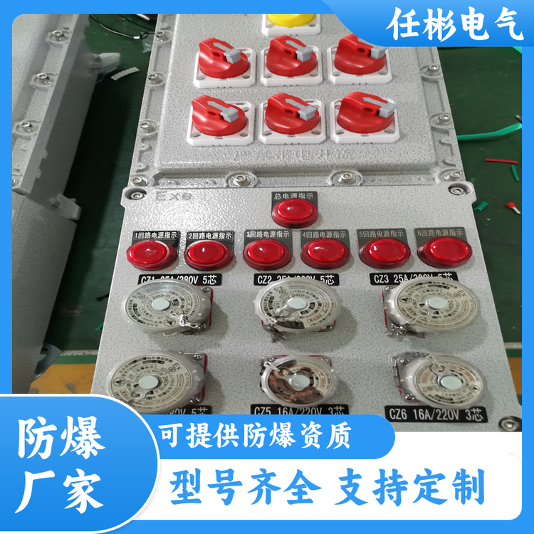 任彬電氣低壓檢修理箱防爆防腐檢修箱BXMD系列非標(biāo)訂制