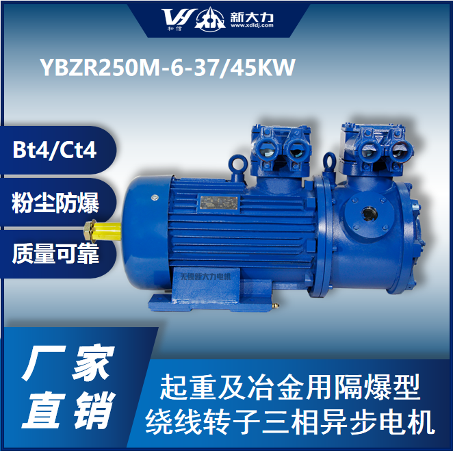 新大力起重防爆電機(jī)YBZR250M-6-37KW防爆BT4CT4粉塵21區(qū)