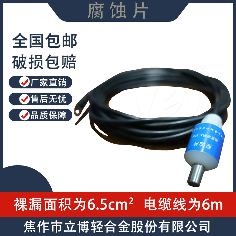 立博防腐腐蝕片裸漏面積為6.5平方厘米帶6米電纜線不帶開(kāi)關(guān)現(xiàn)貨