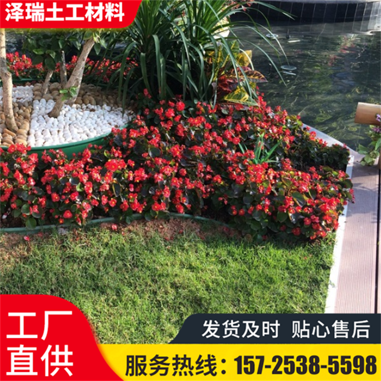 綠化園林隔草帶隔根帶擋土板分隔帶隔離板仿不銹鋼花園草石隔離帶