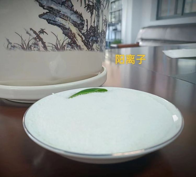 聚丙稀酰胺絮凝劑高分子污水處理用途成分制造商處理效果