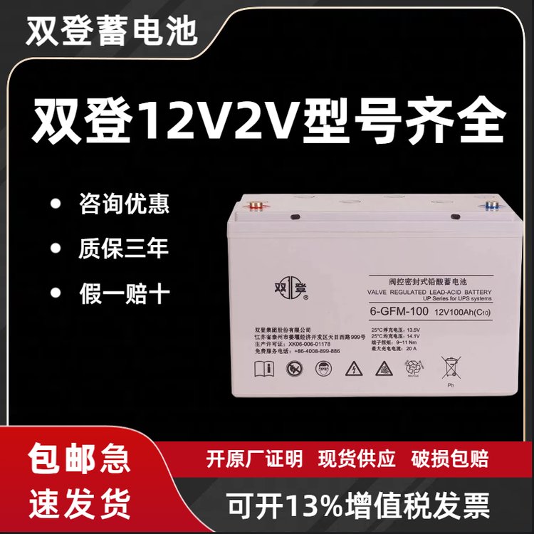 雙登蓄電池6-GFM-10012V100AH固定式密封鉛酸免維護(hù)電池質(zhì)保三年