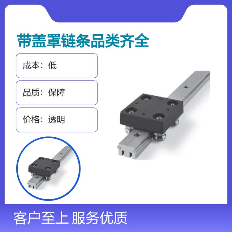 五星服務(wù)靠譜實力雄厚專業(yè)制造帶蓋罩鏈條滑塊導(dǎo)軌傳動配件