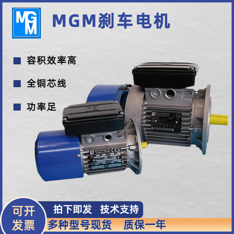 意大利WAM三相異步電動(dòng)機(jī)MT0900L02145現(xiàn)貨質(zhì)保一年