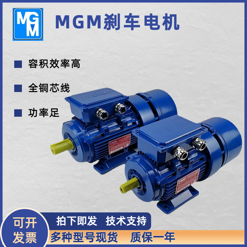 MGM電機(jī)BA160LA4風(fēng)能偏航馬達(dá)卷簾門抱閘電機(jī)