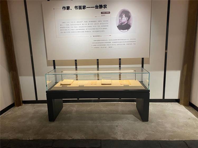 液壓掀開書畫平面柜訂制金屬烤漆美術館展柜制作