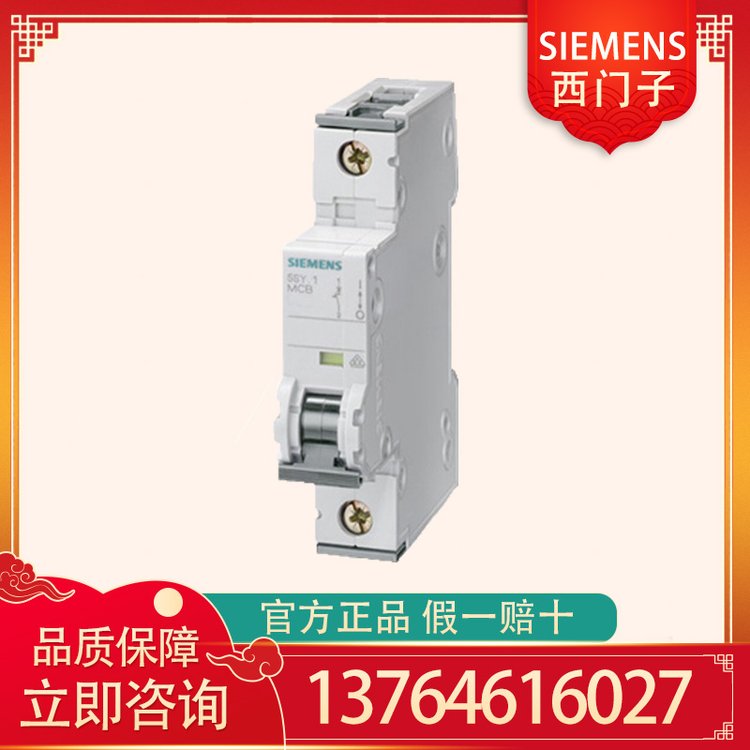 SIEMENS西門子分段與隔離微型斷路器5SY62157CC