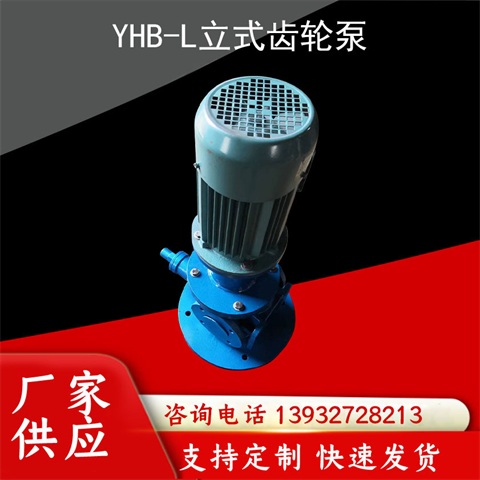 YHB-L立式齒輪泵鼓風(fēng)機(jī)稀油站潤滑油泵船舶燃油泵