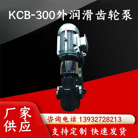 KCB-300外潤滑齒輪泵重油泵耐磨抗雜質(zhì)油泵淀粉泵