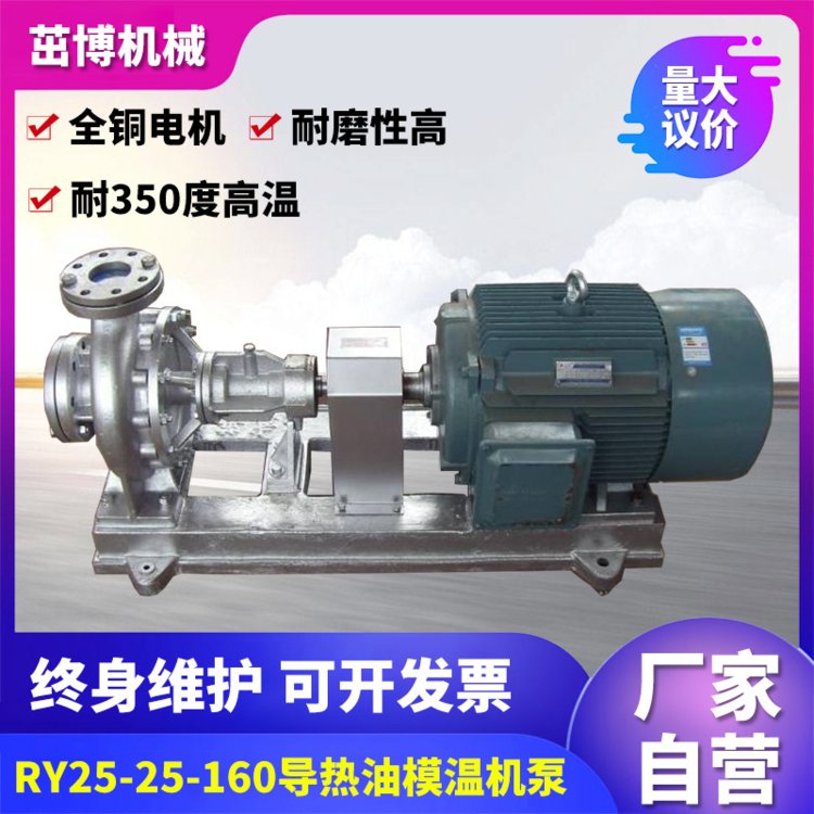 RY125-100-250導熱油泵模溫機設(shè)備導熱油鍋爐循環(huán)泵