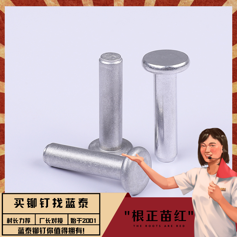 鋁實(shí)心平頭鉚釘藍(lán)泰非標(biāo)定制用于鋁合金梯子旋鉚