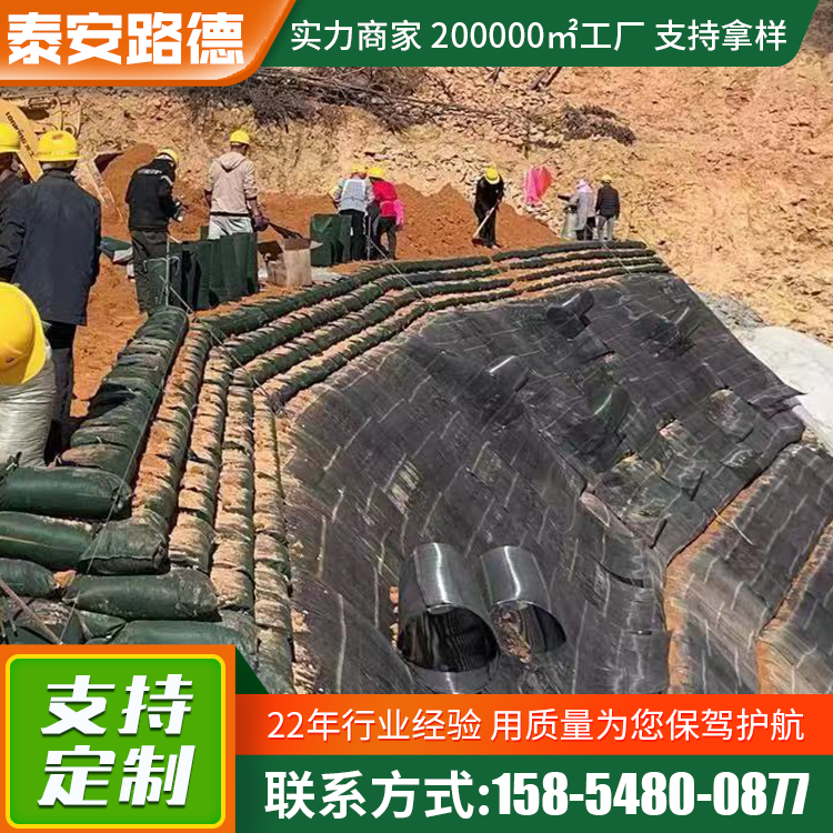 鐵路公路擋土墻單向土工格柵堤壩路基防護(hù)單向格柵