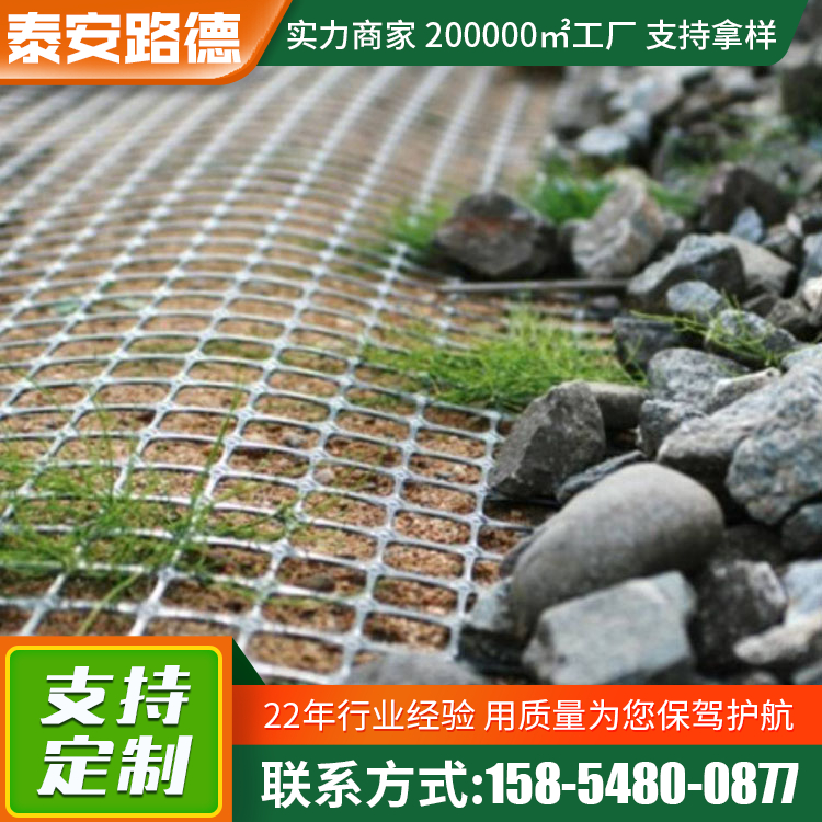 塑料雙向土工格柵鐵路公路機場修建路基穩(wěn)固路面加筋自粘式格柵