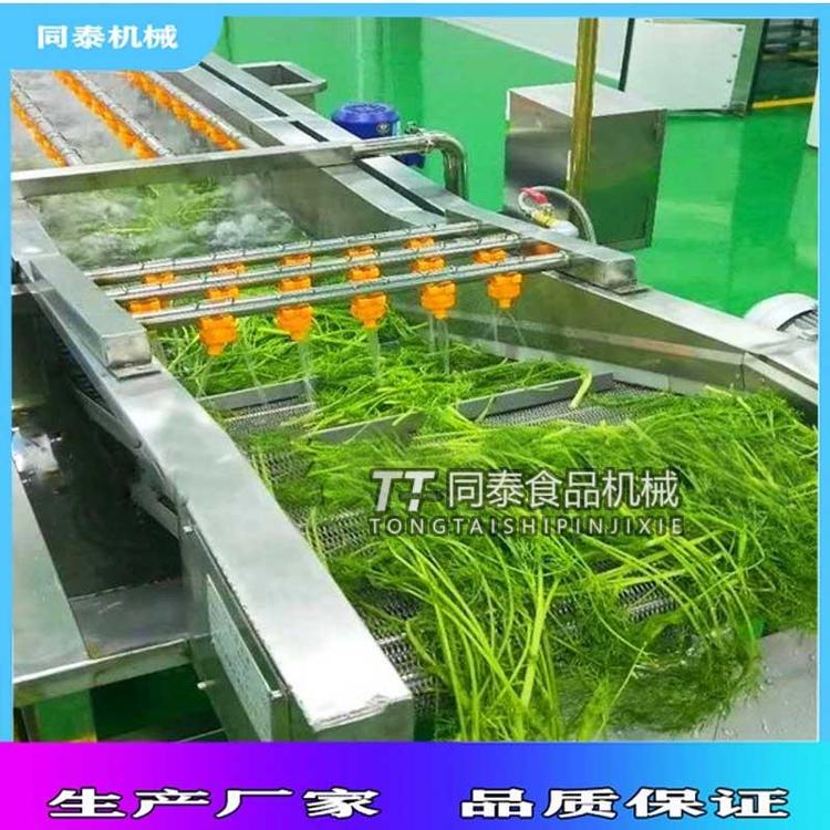 果蔬氣泡清洗機(jī)蘋果圣女果清洗機(jī)多功能洗菜機(jī)