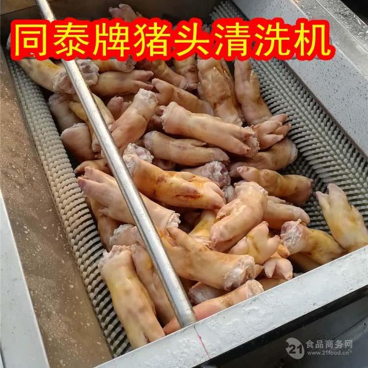 豬蹄毛輥清洗機洗豬腳機