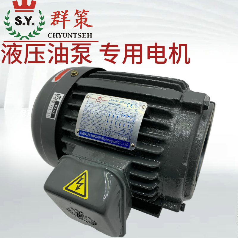 SY群策電機(jī)C03-43B03HP4P油泵專用內(nèi)軸電動機(jī)油壓液壓直插