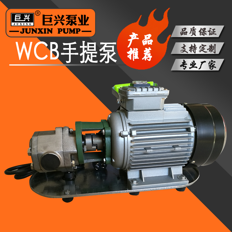 WCB齒輪泵不銹鋼手提泵電動抽柴油機(jī)油自吸泵便攜式抽油泵