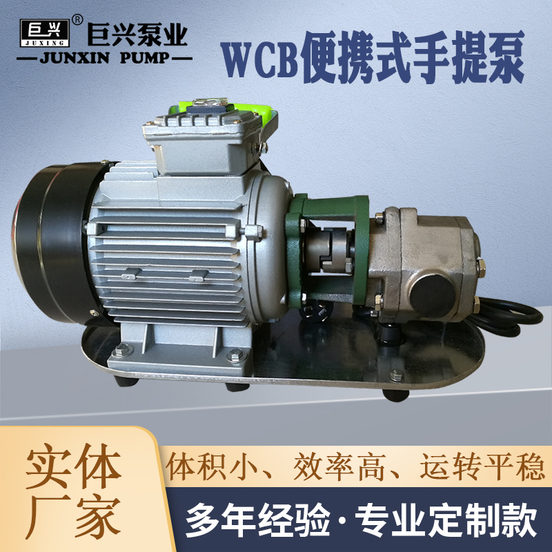 WCB不銹鋼手提泵微型電動抽油泵自吸式齒輪泵小型輸油泵