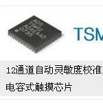 TSM12MC原裝ADS觸摸IC十二通道觸摸芯片MLF32全新現(xiàn)貨TSM12