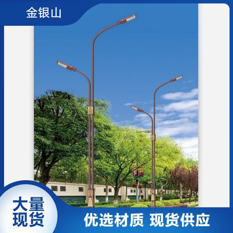 公園道路路燈定制類型照明工具經(jīng)久耐用專業(yè)團(tuán)隊