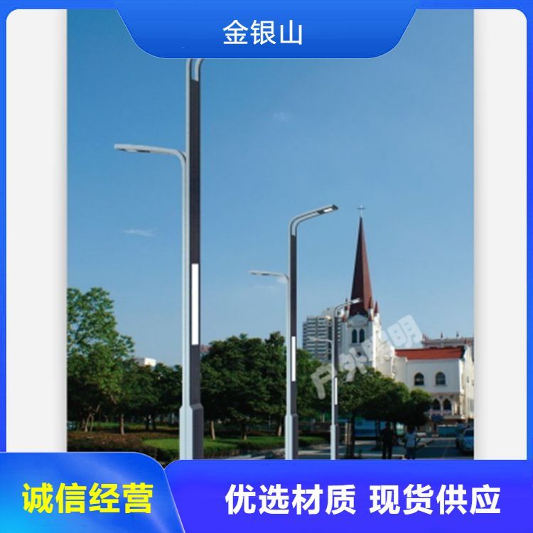 公園道路路燈定制產(chǎn)品路燈類型照明工具節(jié)能代能