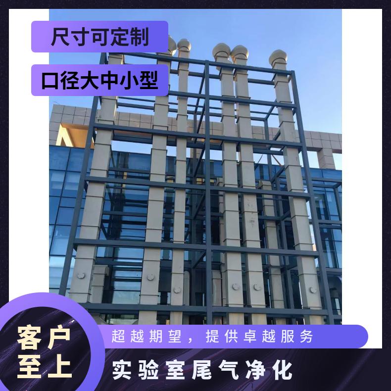 實(shí)驗(yàn)室尾氣凈化環(huán)保酸霧噴淋塔工廠定制安裝-思必得