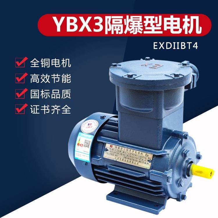 BT4防爆電機(jī)YB2\/YB3-100L-43KW隔爆型三相異步電動(dòng)機(jī)