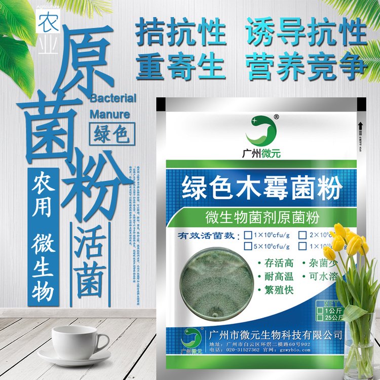 綠色木霉菌農用微生物菌劑微元生物供應微生物防治真菌性土傳病害