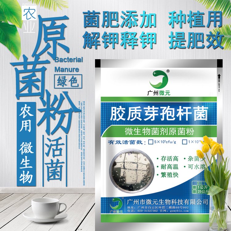 膠質(zhì)芽孢桿菌微元生物供應(yīng)解鉀菌制作微生物菌肥激活修復(fù)土壤菌種