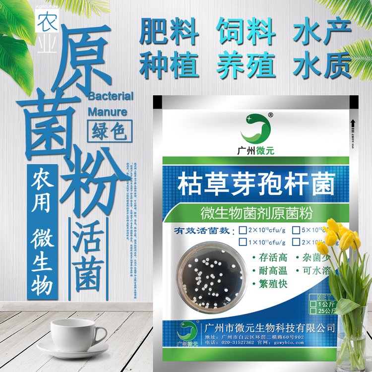 枯草芽孢桿菌1000億枯草芽孢桿菌水產(chǎn)水質凈化飼料肥料添加種植用