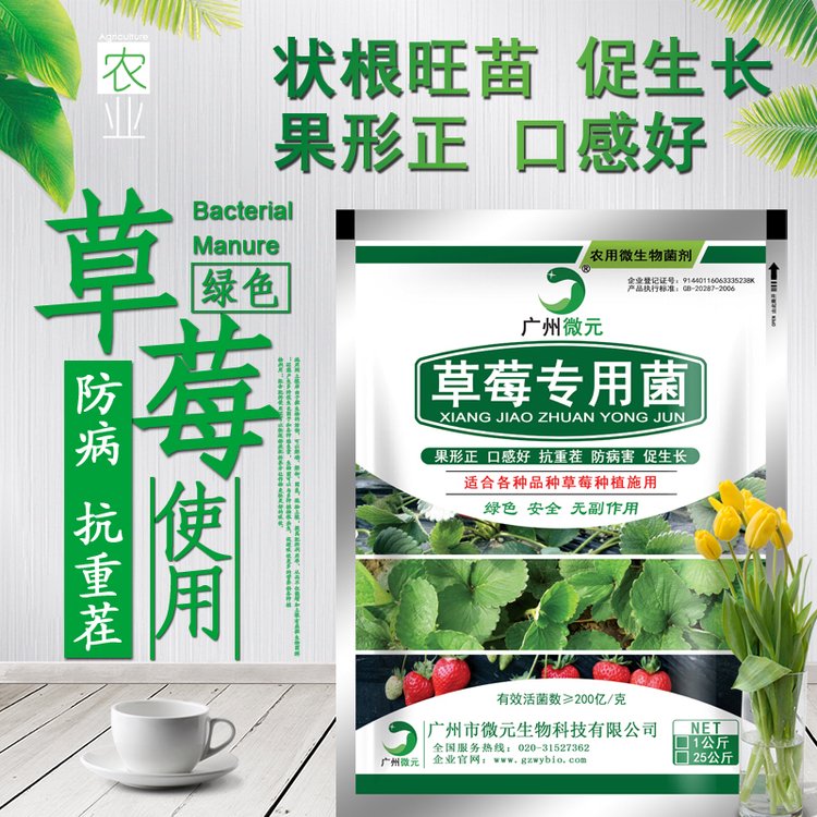 草莓有機肥生物功能菌微元抗重茬微生物菌劑解磷解鉀促生長菌種