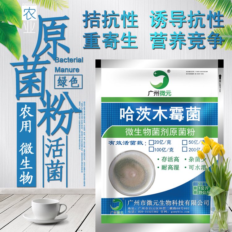 哈茨木霉菌農用微生物菌劑微元生物供應微生物防治真菌性土傳病害