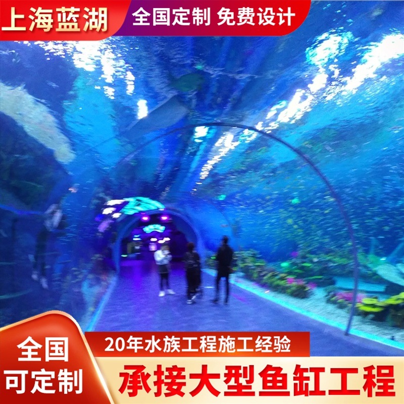 水族運營海洋館魚缸設計建造造景施工大型水族景觀工程