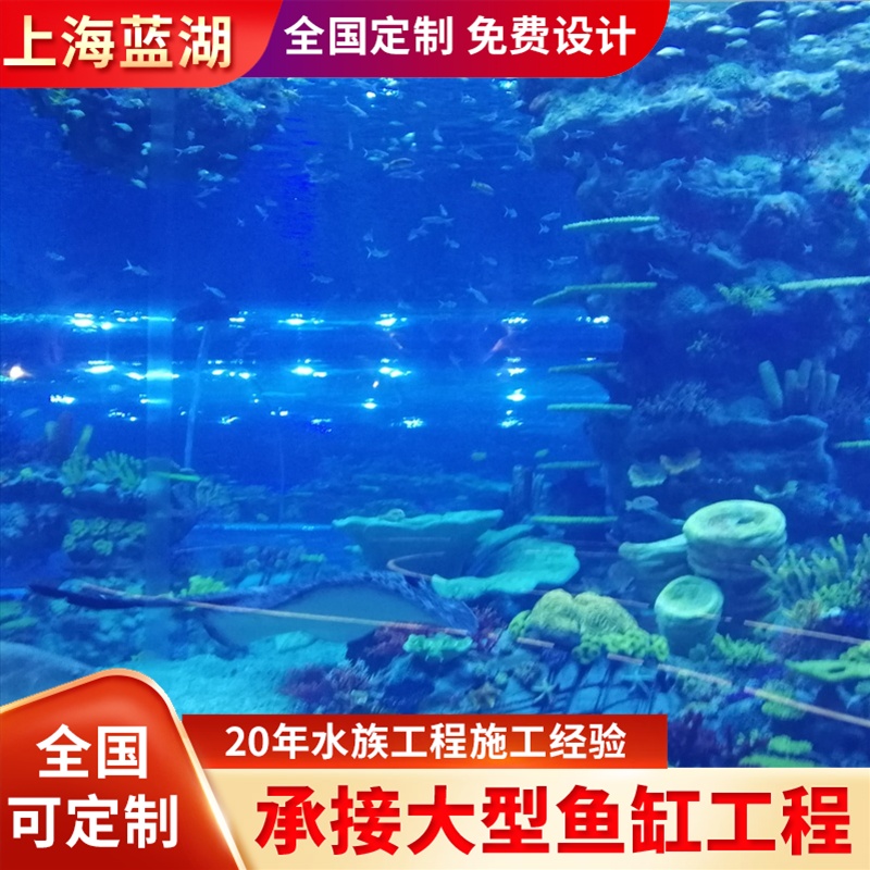 藍湖海洋館設計建造海洋主題公園生態(tài)創(chuàng)意魚缸建造