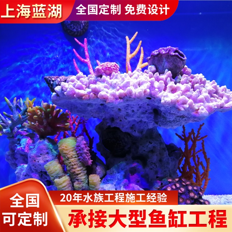 水族館工程設(shè)計承接水族宮工程設(shè)計亞克力觀賞隧道工程建設(shè)施工