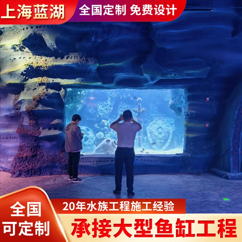 藍(lán)湖承接大型海洋館水族工程觀賞魚缸設(shè)計與建造