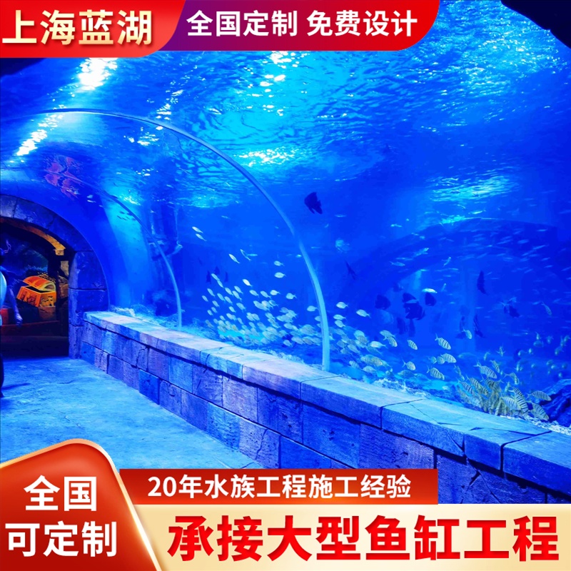 藍湖水族館設計公司設計制作大型亞克力魚缸隧道水族工程