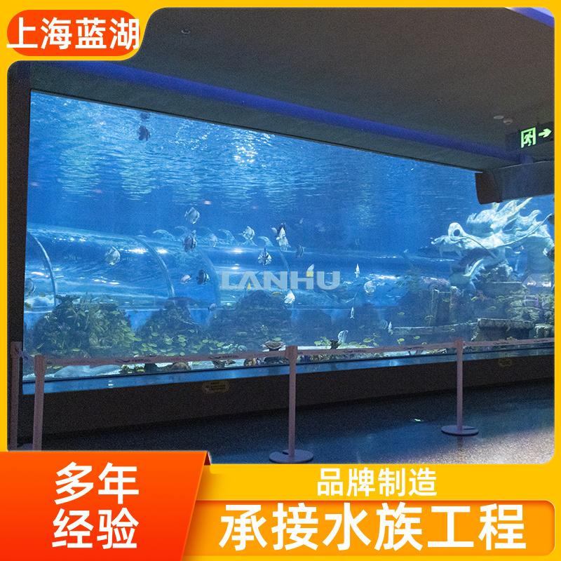 觀賞隧道安裝水族館工程支持上門勘測(cè)規(guī)格齊全藍(lán)湖